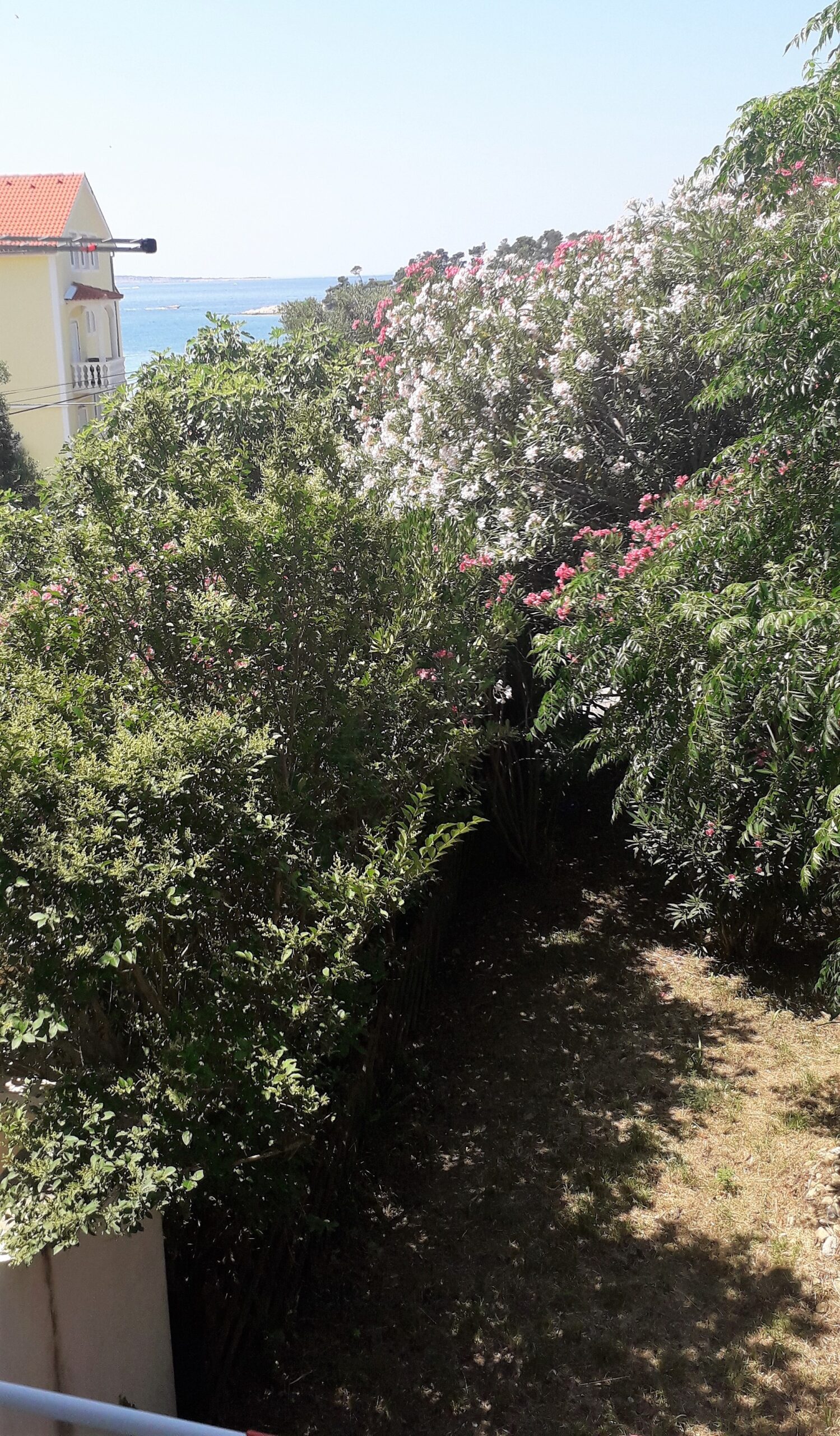 Pogled s balokona Apartman Ileana